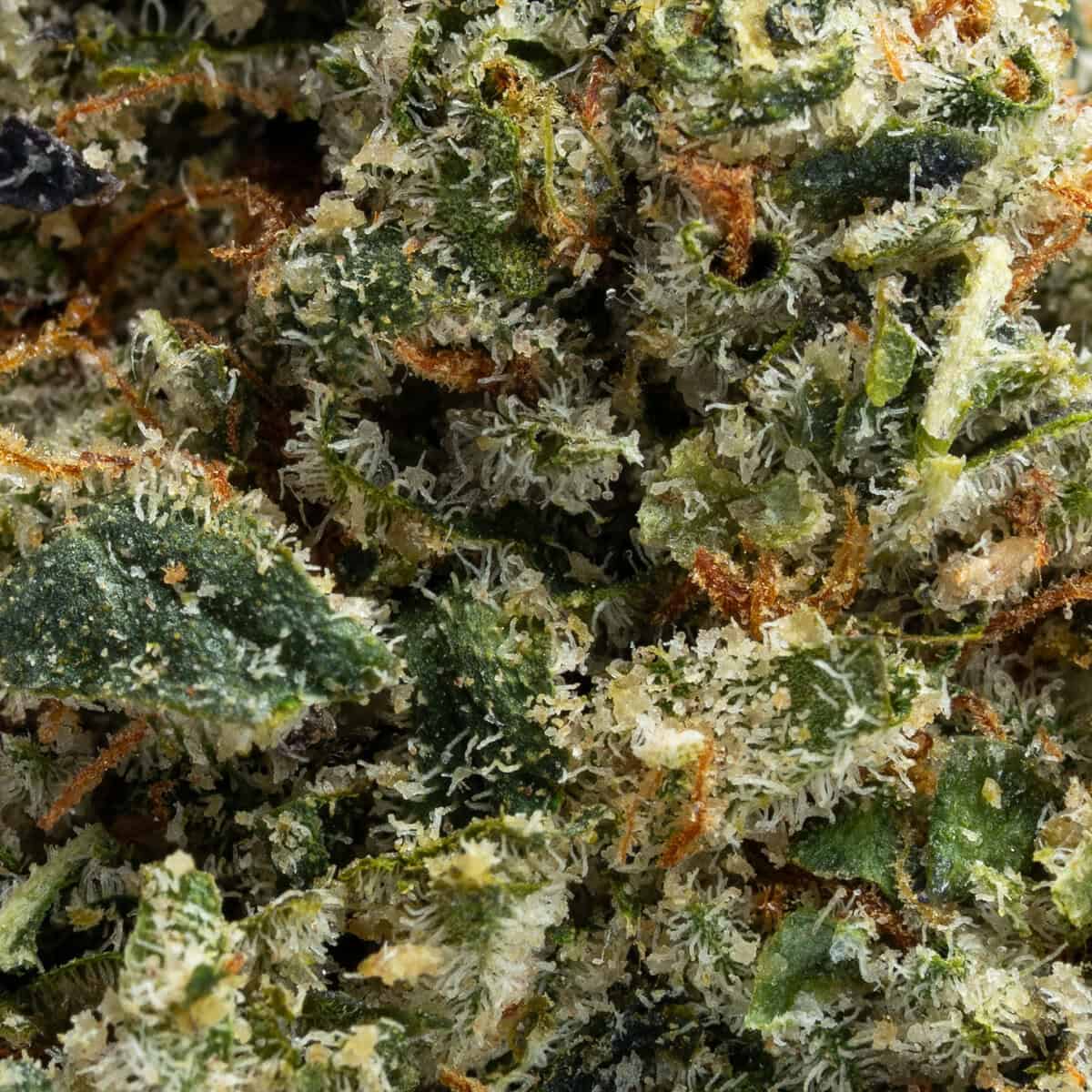 Rum Cake by ChronicCenter