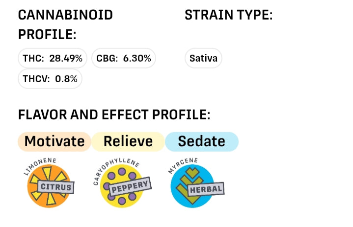 Blueberry Diesel | 5pk | 0.5g
by
ChronicCenter