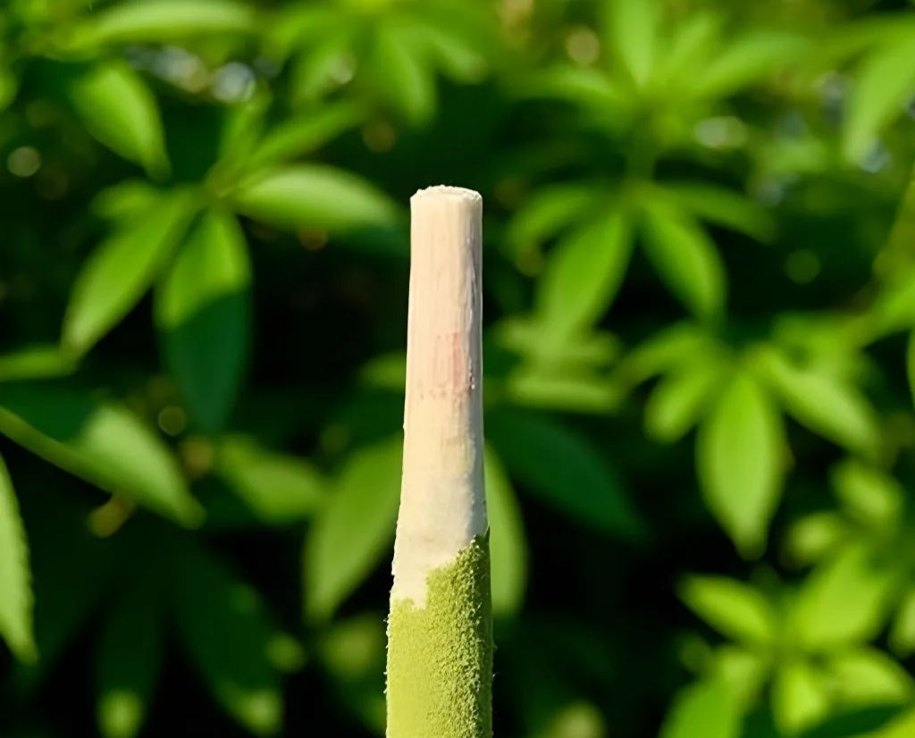 SUPER HIGH THC 1 GRAM KIEF/WAX INFUSED PRE ROLLS ( 10 joints )